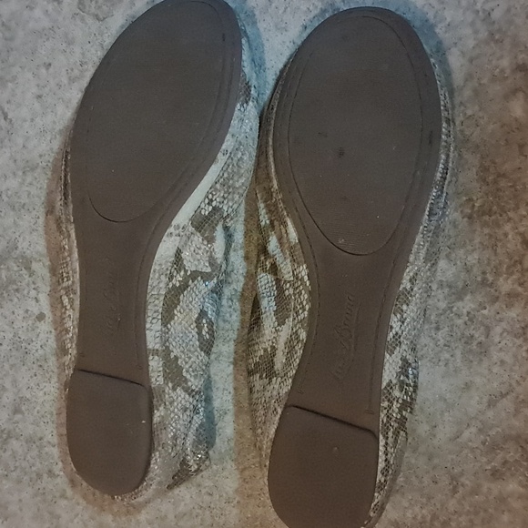 Lucky Brand Emmie Ballet Flat in Gray Snake  Slip-on Round Toe Size 8.5 Leather - Picture 5 of 8